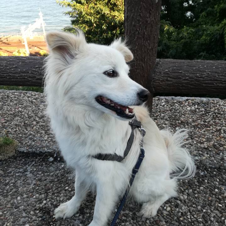 5a0360be 8292 4c08 98ce 50b5cf0ae1a2