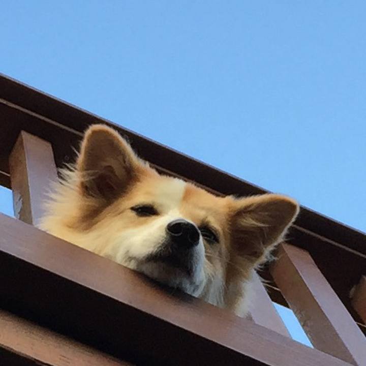 5a0396ef 5028 4bff b81d 7bad4105d0d3