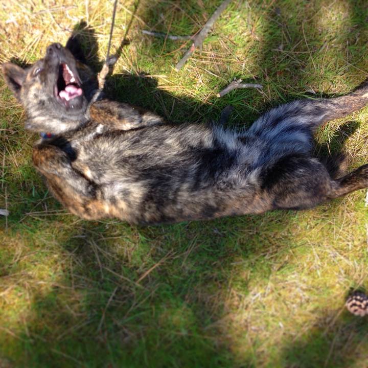 5a03983a b3fb 4157 909c 7e849a500411