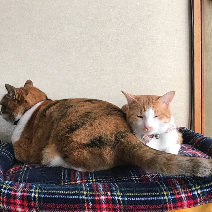 5a03e7aa 8b88 4284 9beb 508ea1ebdd46