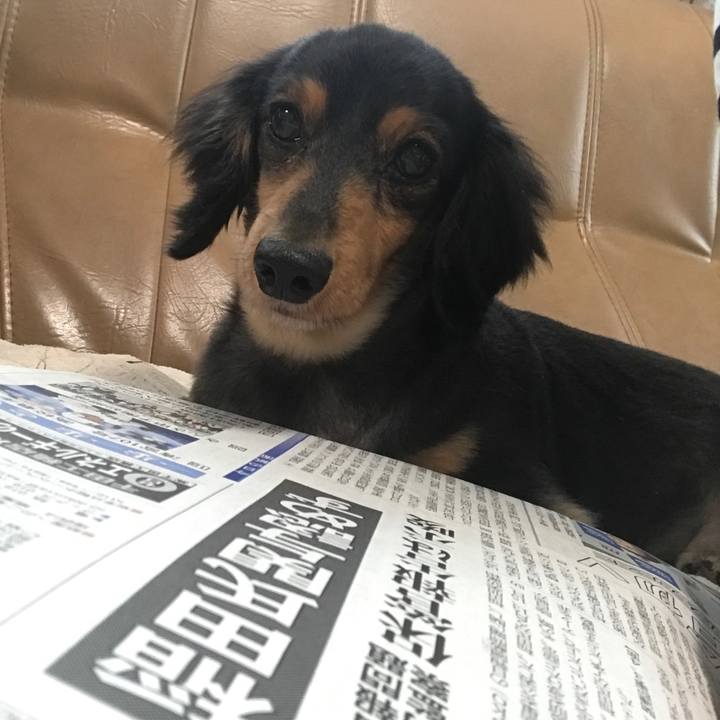 5a043b58 ff01 4c5f 8ccf 31570af67772