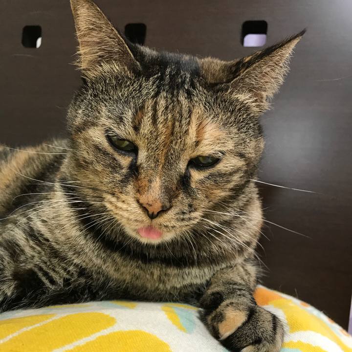 5a0487f3 a7fe 4f84 a038 5814cded0b21