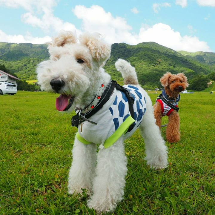 5a04ac27 a45a 460e 9b1e 6eaee40c5a06