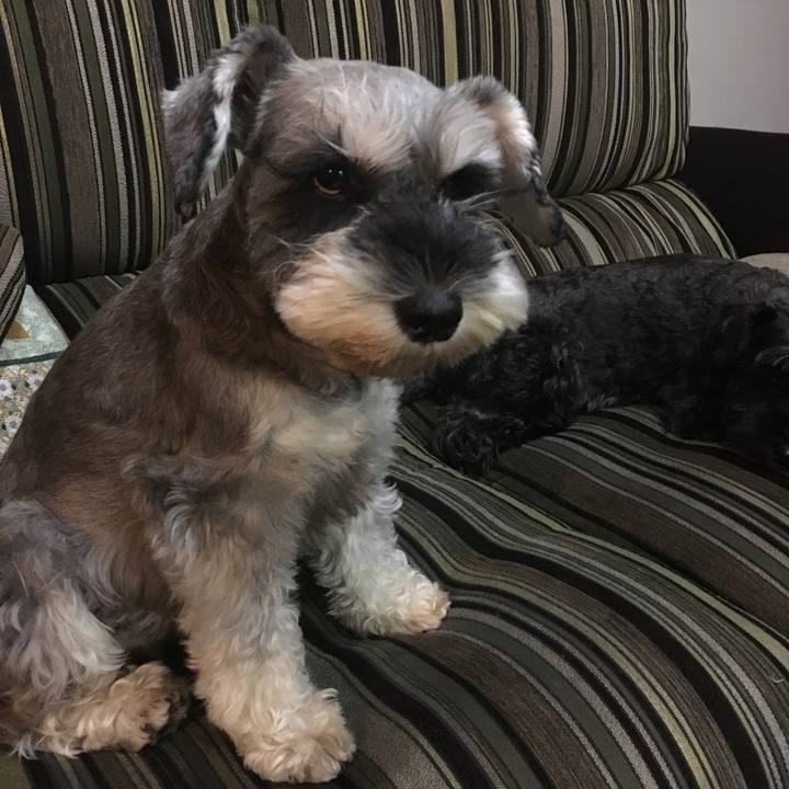 5a0513b1 280b 48b9 988b 14ea688aa61c