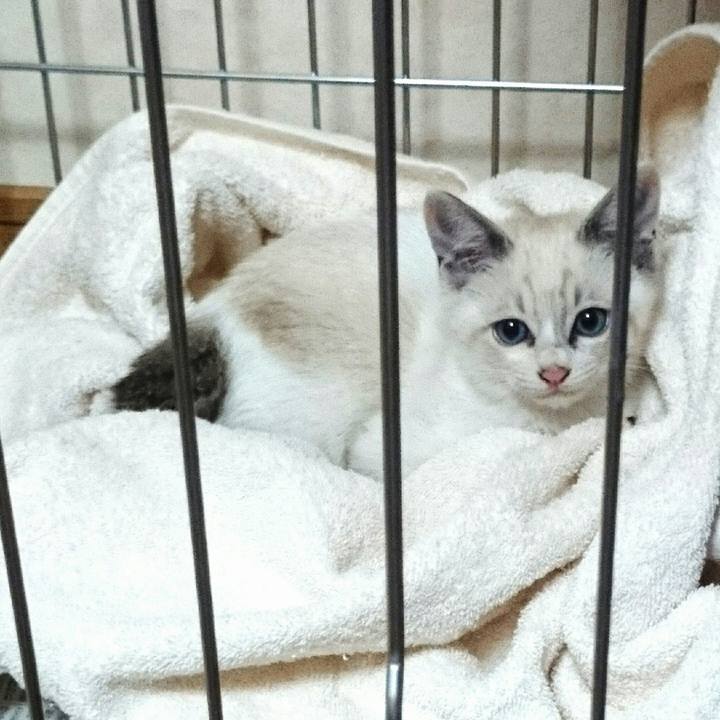 5a06ab93 1eaa 4ef2 9475 b235ba94c239