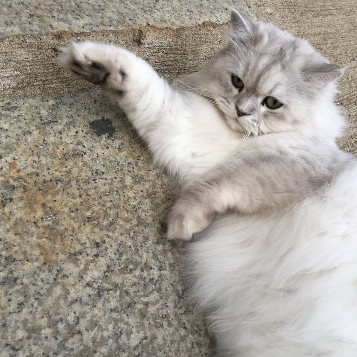 5a06b74c 6234 4705 a285 a7b86759757d