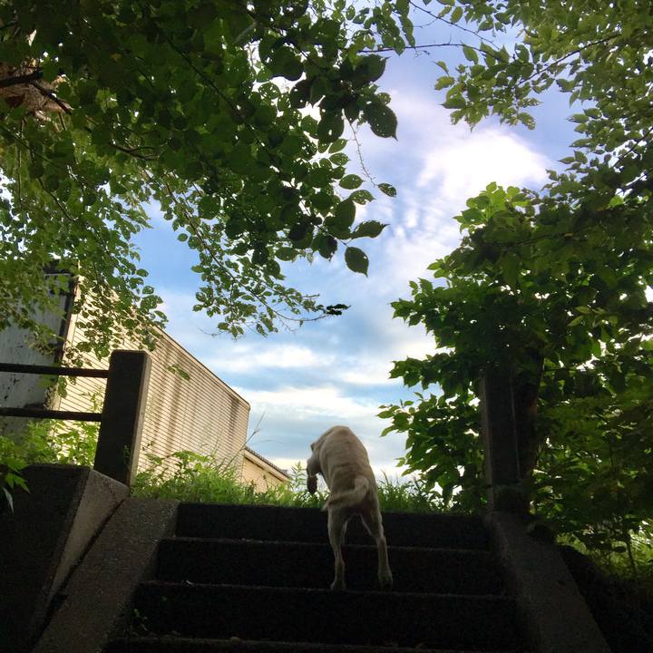 5a06dd28 d63f 4a6a aa40 f00af21ea393