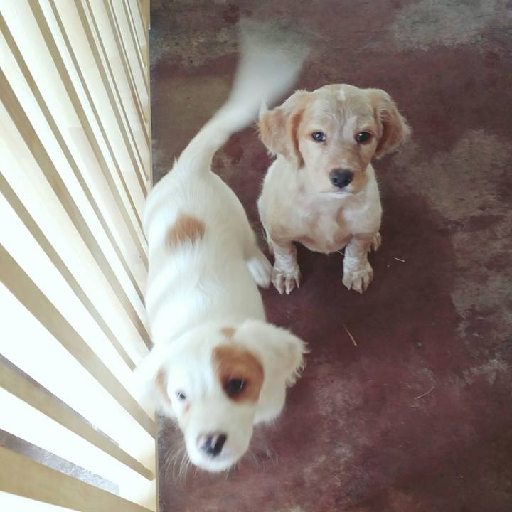 5a06fda7 6b1d 482c 9e1e a88ff3bac360