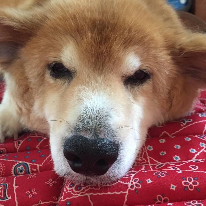 5a079f78 4d03 49ca a3a0 90e41ff79284