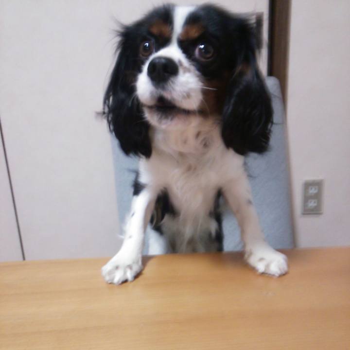 5a081fde 245b 46e8 b965 46312fb616b1