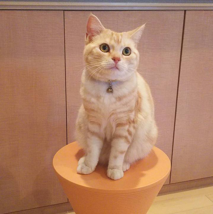 5a08e63e 6528 4399 961a 18a5a74f5b58