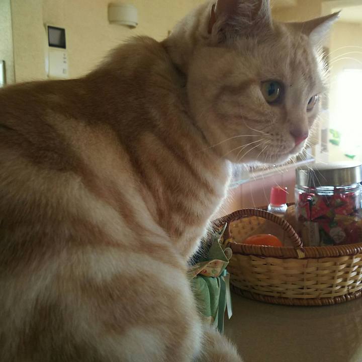 5a092b9e aea5 417d a9c3 8755aaa49a76