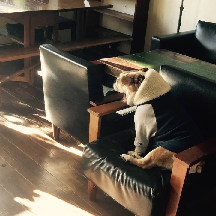 5a0954fa 316d 4af5 b754 def701bf013d