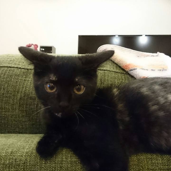 5a09f542 6167 4395 b29b 15ff1ad9887e