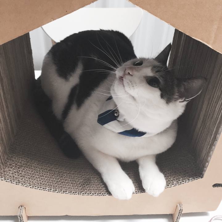 5a0a3cd6 f3aa 4e4f a202 d83c166b7bd5