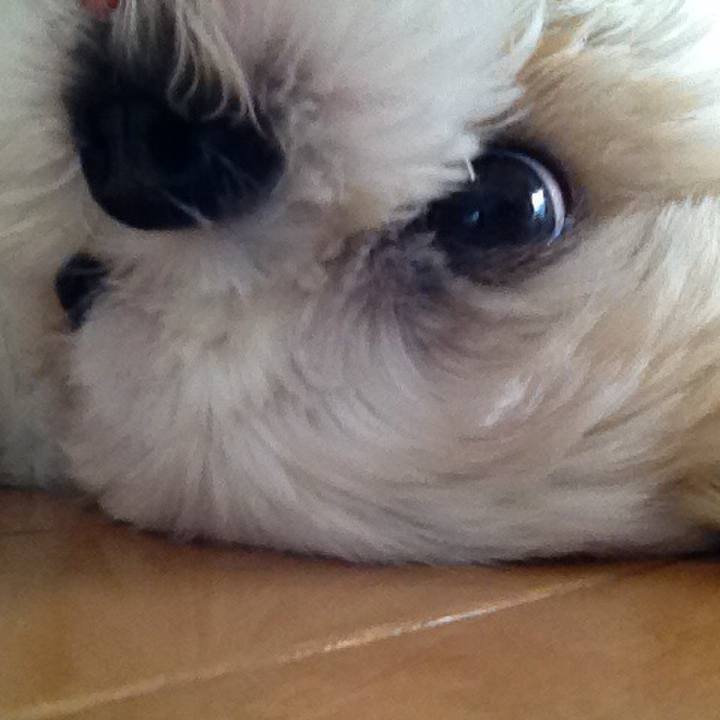 5a0a5b9e 0988 4602 a476 b4b6e76fc6d6