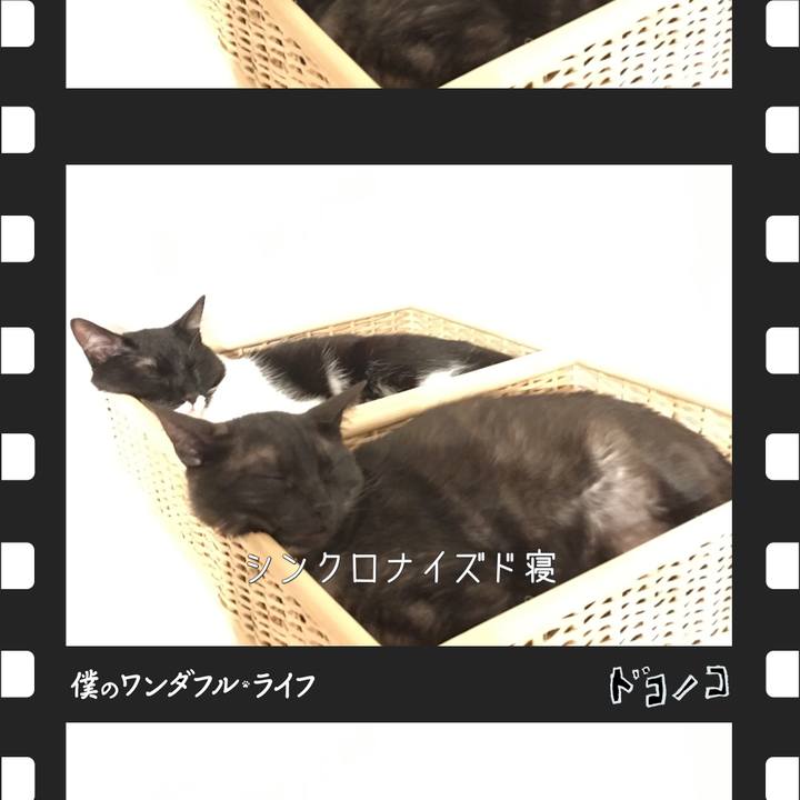 5a0a8f03 bf0c 4131 b6e3 b78a60285dfb