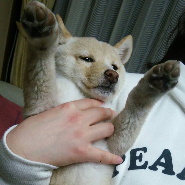 5a0aa7bd 460e 4e97 adc9 84625f435fff