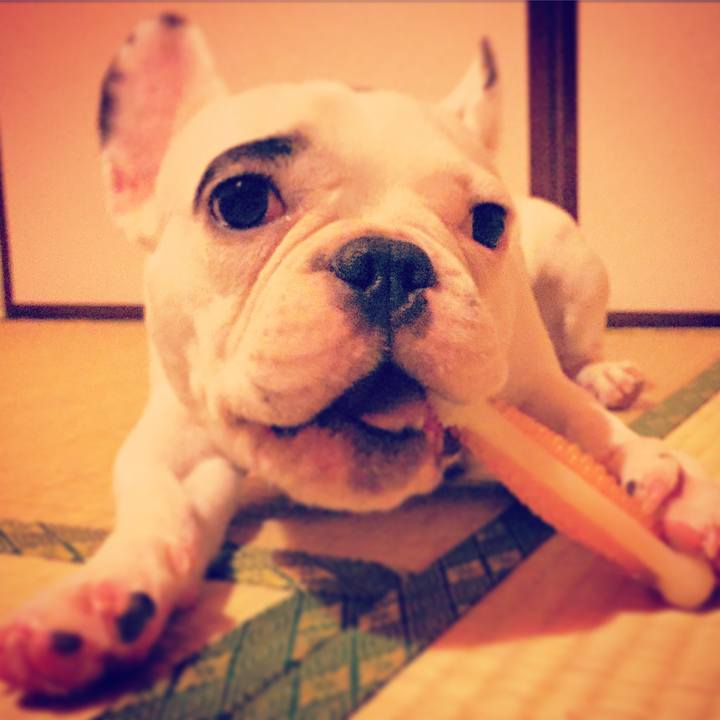 5a0b158b b8f7 4c80 a802 91cb8171da59