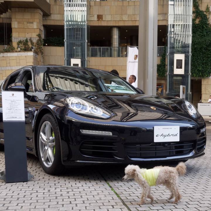 5a0bb116 9db3 4a28 9d24 8892d3dec23d