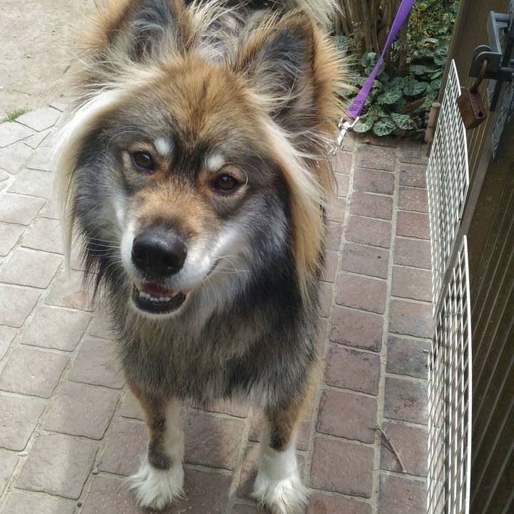 5a0d128a d251 4b74 9e8d 64788e1f365b