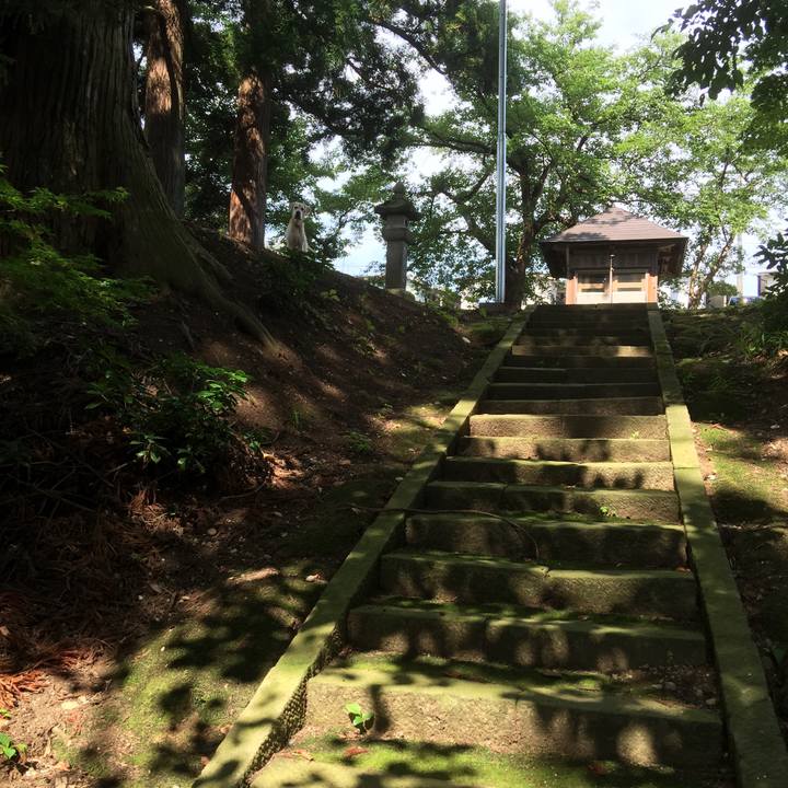 5a0dd3ba 0daa 4f30 bbb1 8fceedebc2b3