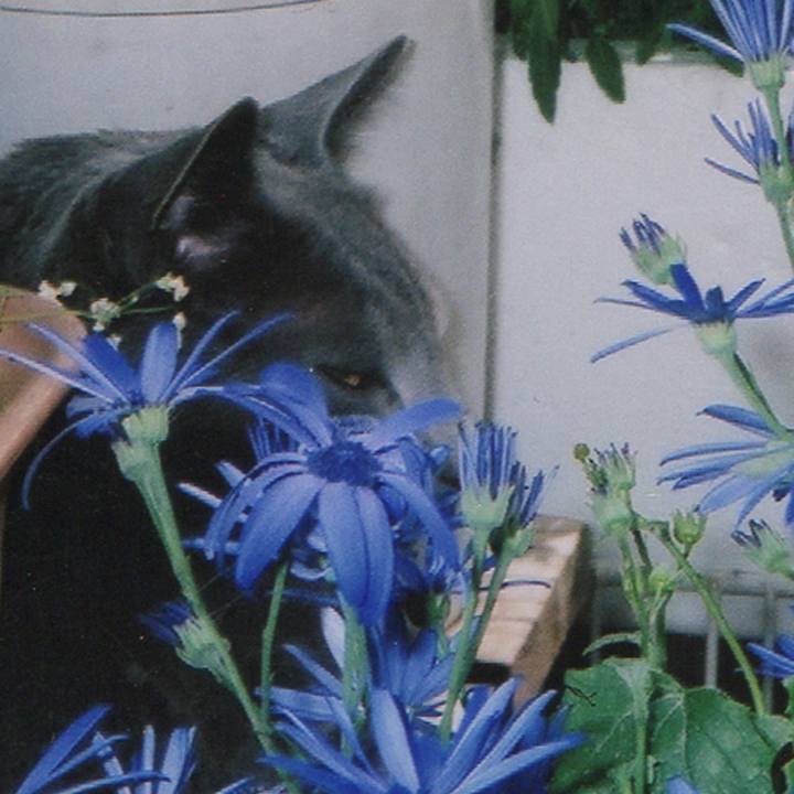 5a0e0cc5 4f0f 4eb3 a5d4 16471b1b1356