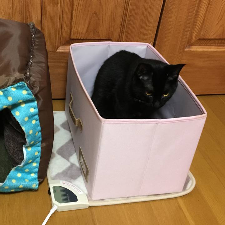 5a0e9873 3f25 4165 add0 bac9eb1fa3a4