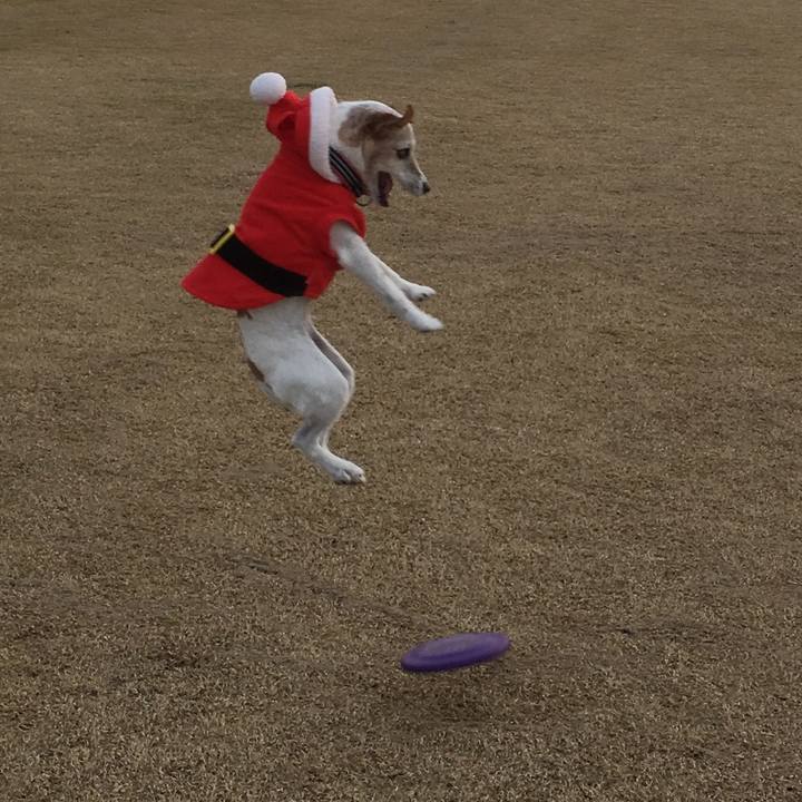 5a0ecfb4 eab2 4729 a455 2c0d1a8cbe6f