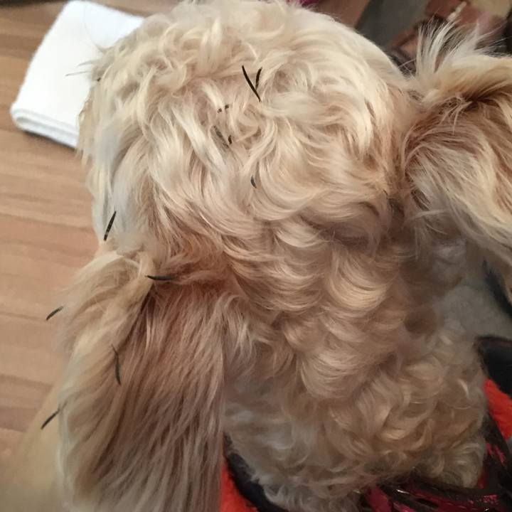 5a0f211e ac67 452a a6d4 73175dad45c0