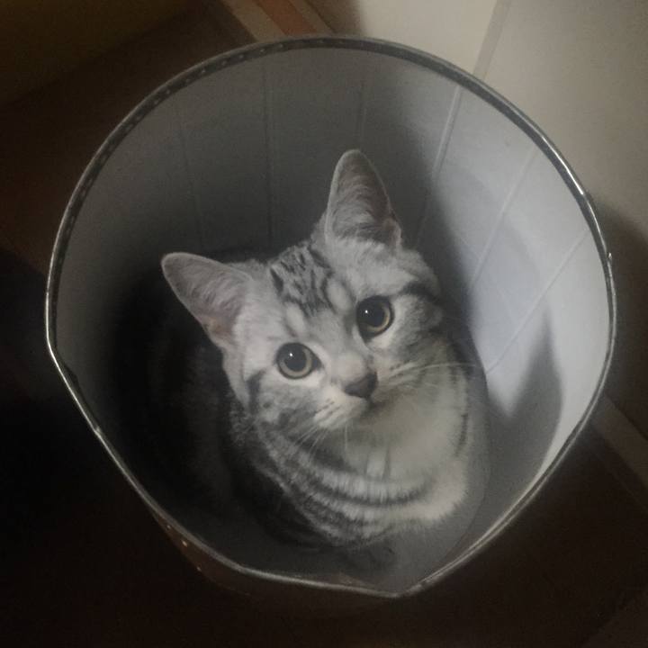 5a10d384 cf22 420f ba28 ce127509ce9c