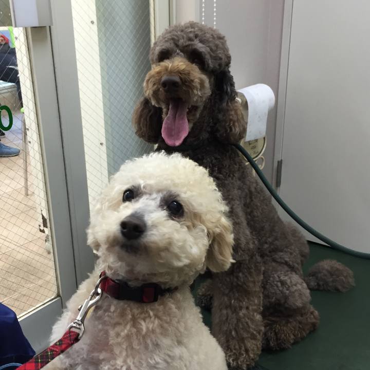 5a11a7a5 dcd6 45b0 b9b1 b5e76e8509f5