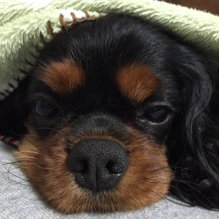 5a11ca50 859a 4480 86ec e0b4dc0778a5