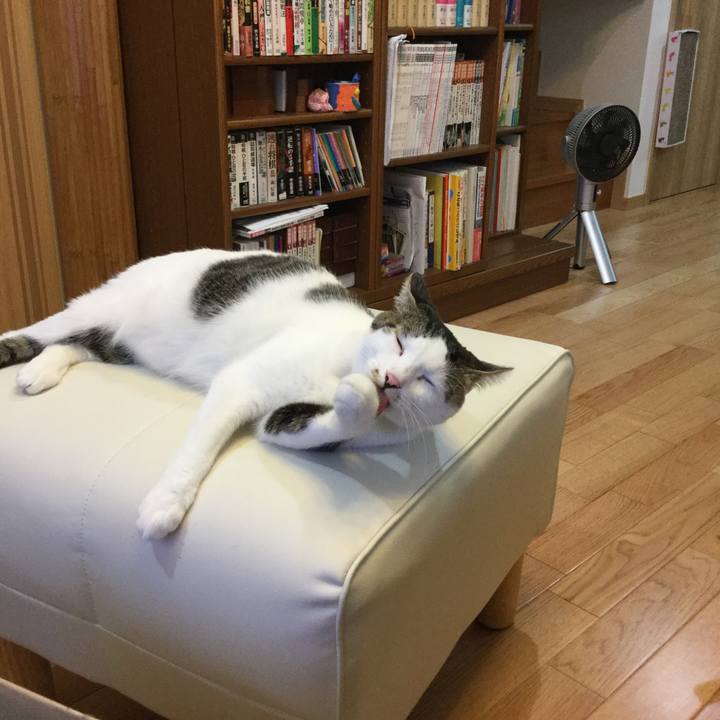 5a14fbf5 7e70 473d b529 6228cda08202