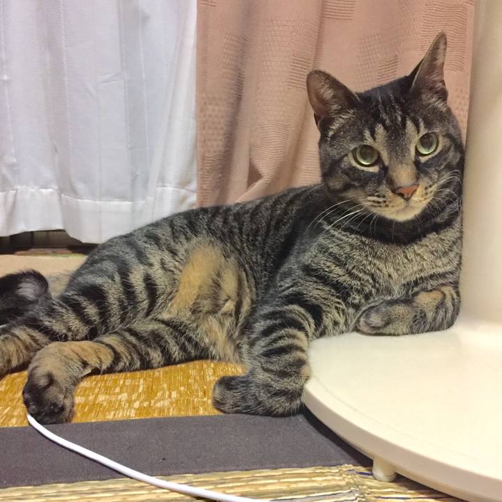 5a16ecd0 bcd8 4110 806e 7fdeff6a6c0e