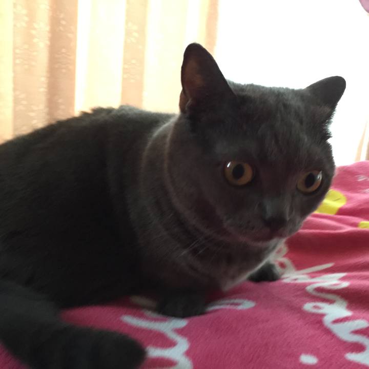 5a173c29 2747 4bfe a4ae c1f25369c1a2