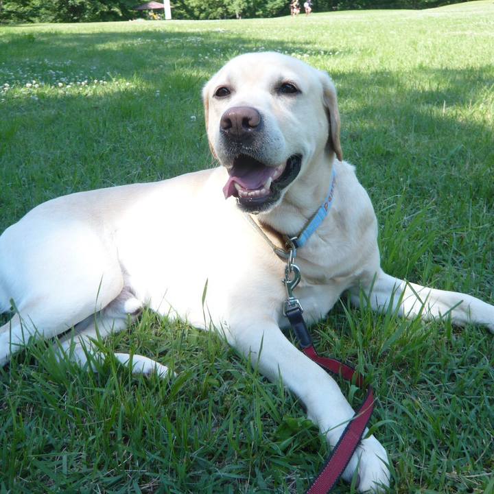 5a189198 74b4 4c62 bfcb 3e7091163f8c