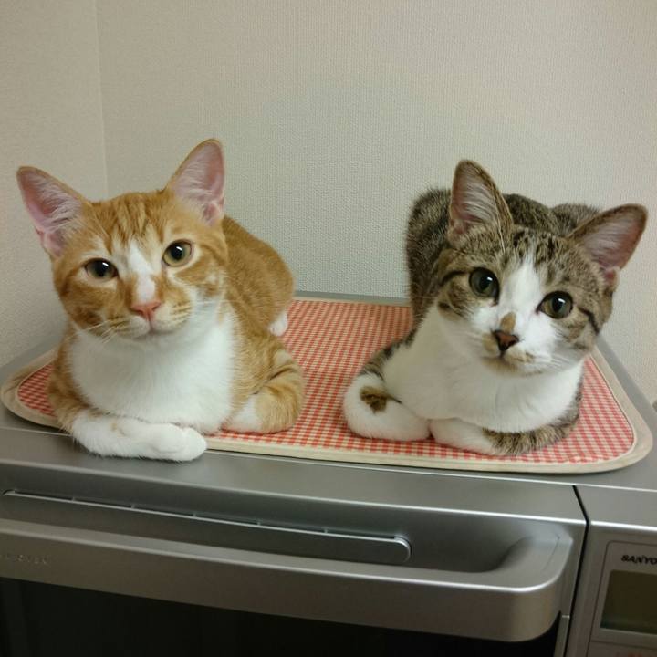 5a189e24 404c 4869 9cdd f69954c06fe4