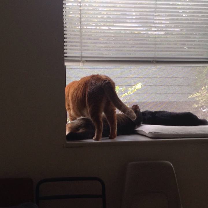 5a192764 581d 461e a556 14e298b36c20