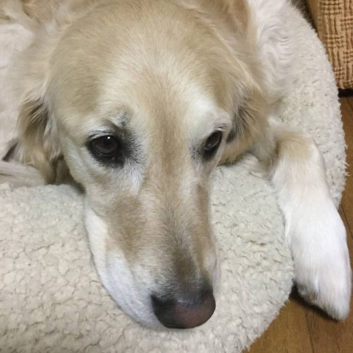 5a1961cf 4642 449b ac22 3227ad25a590