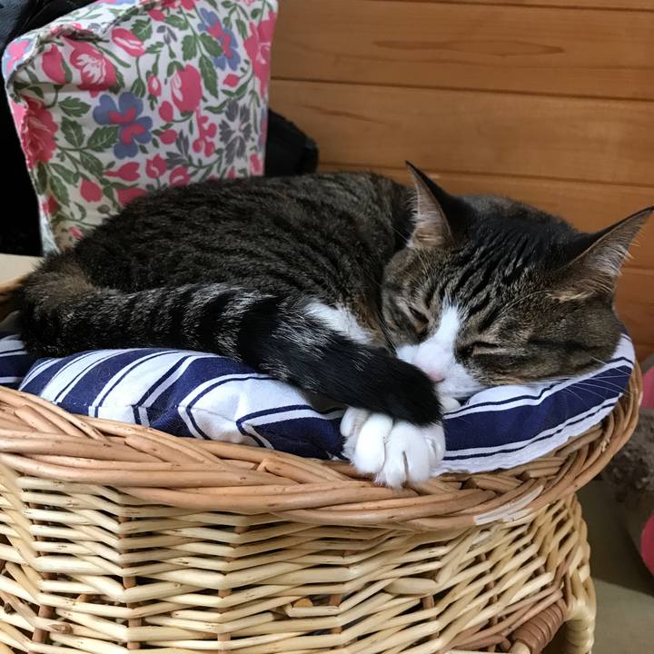 5a19a15f 2248 4d0f b333 4c345fd98eb1