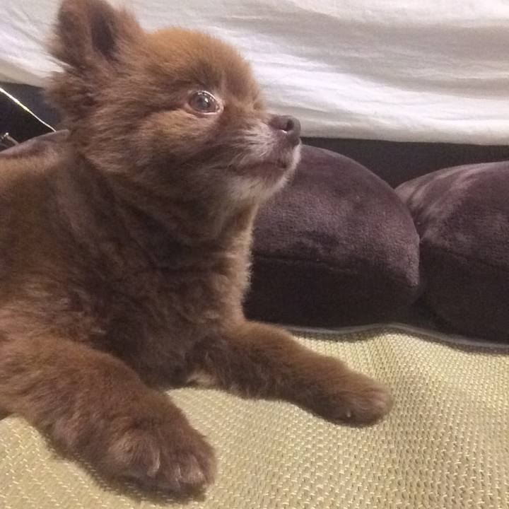 5a19a595 cb2f 4a73 aee3 09d4011e189a