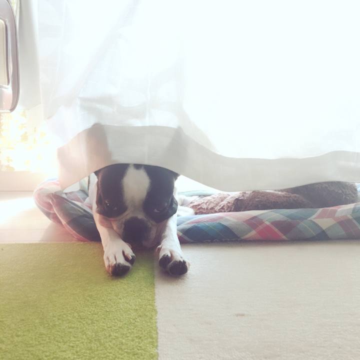 5a1a28bf 5cf1 4a32 b6c9 3697e72b6029