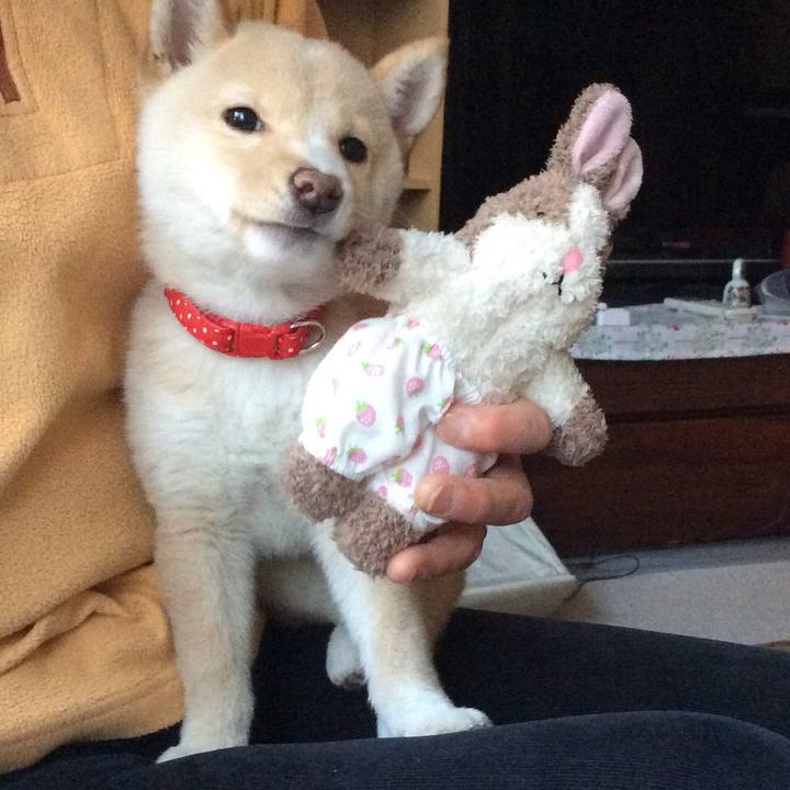 5a1aac5c bd8d 4fa5 80c9 28e8d8cf40b2