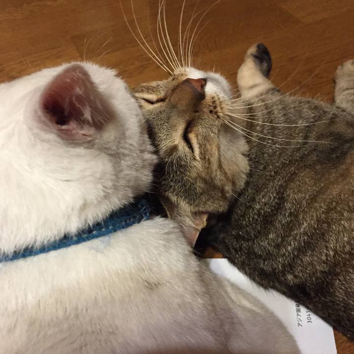 5a1ba1dd 6ccc 4d8b b87c bc802a5d953c