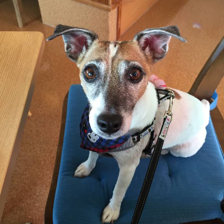 5a1bbbc7 40bc 47ad 8313 2d71dbbf6172