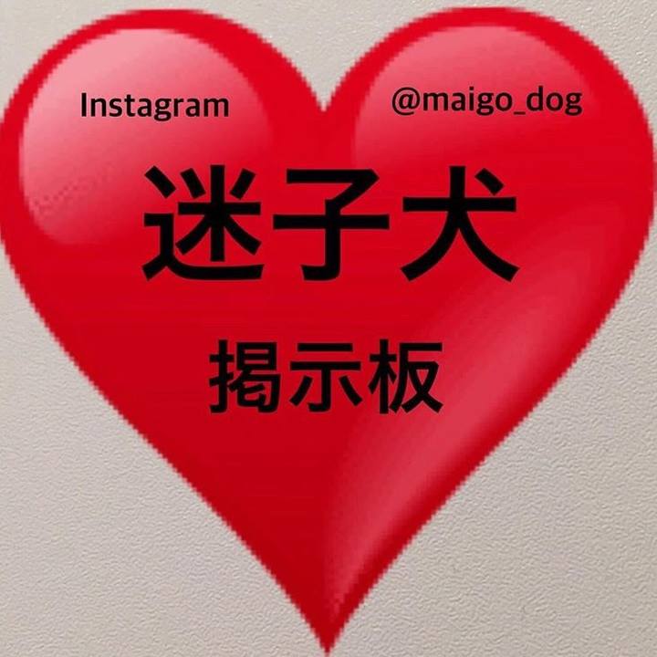 5a1d4461 012c 4d5c b7b1 01512066cf49