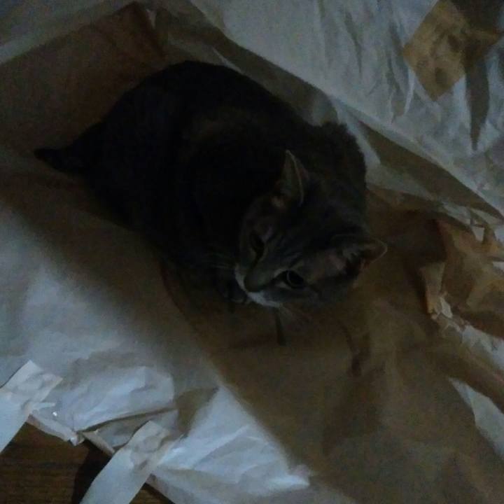 5a1d9649 d329 426b b67f 5052a0038a8f