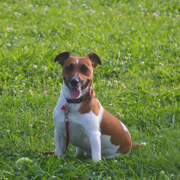 5a1daa01 cae5 4e6b 91b8 fd3c3745edd7