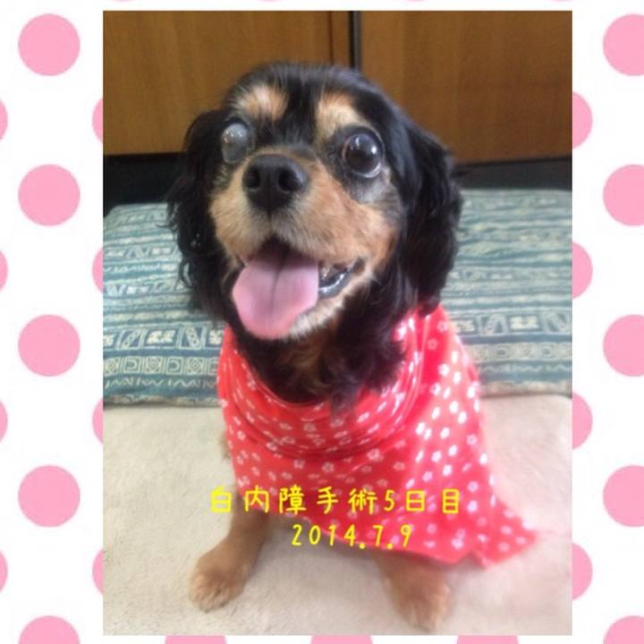 5a1dcb94 9fe5 49cf 8c6a 852eacf1fcd1